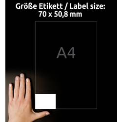 Avery-Zweckform 3669 univerzální etikety 70 x 50.8 mm papír bílá 1500 ks trvalé inkoustová tiskárna, laserová tiskárna, barevná laserová tiskárna, kopírka,