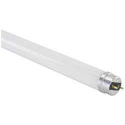 Megaman MM54254 LED Energetická třída (EEK2021) F (A - G) G13 zářivkový tvar 9 W neutrální bílá (Ø x d) 28 mm x 603 mm nestmívatelné 1 ks