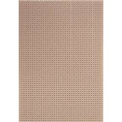 Rademacher WR-Typ 710-5 DPS tvrzený papír (d x š) 16 cm x 10 cm 35 µm Rastr (rozteč) 2.54 mm Množství 1 ks