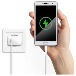 LogiLink Kabel USB-C USB 2.0 USB-C ® zástrčka, USB Micro-B zástrčka 3.0 m bílá CU0245