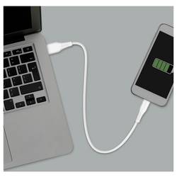 LogiLink Kabel USB-C USB 2.0 USB-C ® zástrčka, USB-A zástrčka 3.0 m bílá CU0255