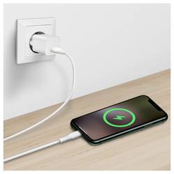 LogiLink Kabel USB-C USB 2.0 USB-C ® zástrčka, USB-A zástrčka 3.0 m bílá CU0255