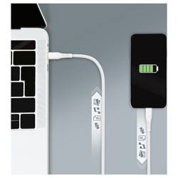LogiLink Kabel USB-C USB 2.0 USB-C ® zástrčka 1.5 m bílá CU0263