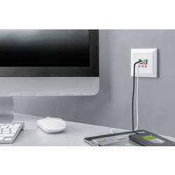 Digitus DA-70618 USB nabíjecí zásuvka do zdi s USB bílá
