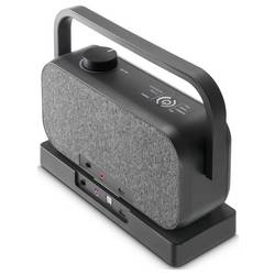 Hama TV reproduktor AUX, USB černá, šedá