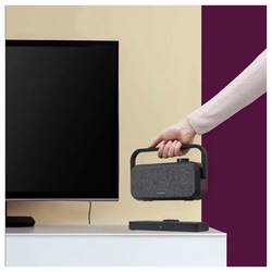 Hama TV reproduktor AUX, USB černá, šedá