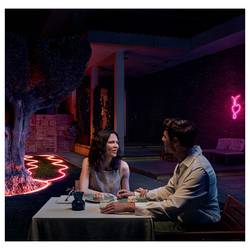 Philips Hue Hue LED pásek 8721103088857 Energetická třída (EEK2021): G (A - G) Neon Gradient Outdoor 30 W RGBICWW