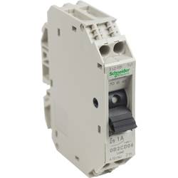 Schneider Electric GB2CD06 GB2CD06 elektrický jistič