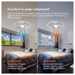 OSRAM HOMELIGHTING Ceiling Fan Leste 445mm 21W CCT stropní ventilátor 21 W (Ø) 445 mm s osvětlením, s dálkovým ovládáním, stmívatelný, s časovačem