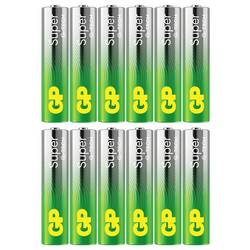 GP GPPMDALKA24AC12430 mikrotužková baterie AAA Ni-MH 1200 mAh 1.2 V 12 ks