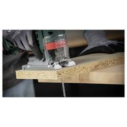 Wolfcraft 8015100 10 pilové listy pro nožovou pilku čistší 10 ks