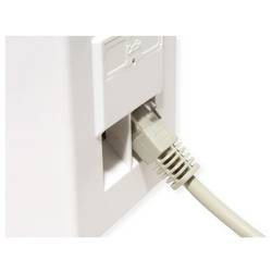 Secomp S1403 RJ45 síťové kabely, propojovací kabely Kabel U/UTP 3 m béžová 1 ks