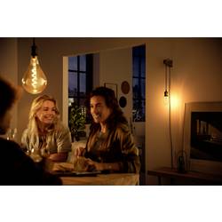 Philips LED 62405700 objímka pro žárovku E27 230 V
