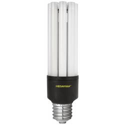 Megaman MM60855 LED Energetická třída (EEK2021) D (A - G) E40 80 W = 164 W studená bílá (Ø x v) 80 mm x 265 mm nestmívatelné 1 ks