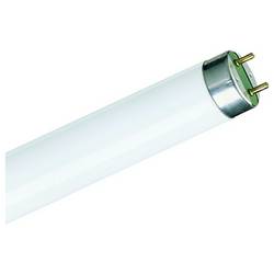 Philips zářivka Energetická třída (EEK2021): G (A - G) G13 36.6 W neutrální bílá tyčový tvar (Ø x d) 28 mm x 984.2 mm 1 ks