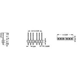 Fischer Elektronik pinová lišta (standardní) Počet řádků: 1 Počet kontaktů v řadě: 36 10053876 1 ks