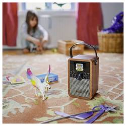 Albrecht DR 710 27710 Akumulátorové rádio, DAB+, DAB, FM, Bluetooth, dřevo