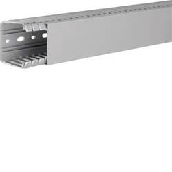 Hager BA760060 vodicí lišta (d x š x v) 2000 x 60 x 60 mm 2 m