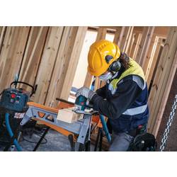 Bosch Accessories 2608655116 Pilový list PRO Hardwood Fast T344DF, 152 mm, 25 ks 25 ks