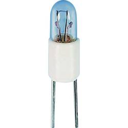 TRU COMPONENTS 1590349 mikro žárovka 18 V 0.468 W Bi-Pin T1 čirá 1 ks