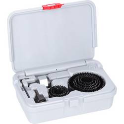 Bosch Accessories 2608594504 2608594504 sada děrovacích pil 22 mm 1 ks