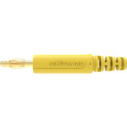 Schützinger DI FK 9900 L Au / GE banánek zástrčka zástrčka, rovná Ø pin: 4 mm žlutá 1 ks