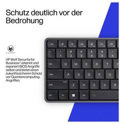 HP mini PC (HTPC) HP EliteBoard G1a RAI7P 32/1TB PRO 350 5 GHz 32 GB RAM AMD AMD Radeon Graphics DM0R6ET