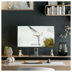 Alogic Clarity Max UHD 4K Monitor LED monitor 81.3 cm (32 palec)16:9
