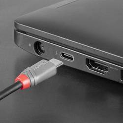 LINDY USB kabel USB 2.0 USB-C ® zástrčka, USB Micro-B zástrčka 3.00 m černá 36893