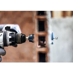 Bosch Accessories 2608901965 2608901965 vrtací korunka 1 ks
