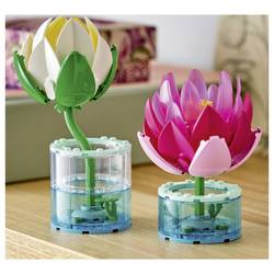 11511 LEGO® Botanicals™ Botanicals leanicals; pokojová deko ze 2 lez v průhledném váze