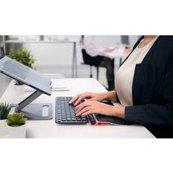 Contour Design RollerMouse RED Plus Thin Client myš, přenos USB, 6 tlačítko, 2800 dpi, černá, stříbrná