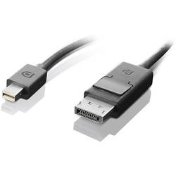 Lenovo 0B47091 Mini-DisplayPort / DisplayPort kabelový adaptér černá 1.20 m