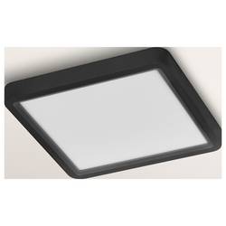 OSRAM HOMELIGHTING 4099854604829 stropní svítidlo, LED stropní svítidlo LED černá