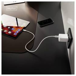 Digitus DA-10301 USB nabíječka, 1x USB A , 1x USB-C®, 30 W, bílá
