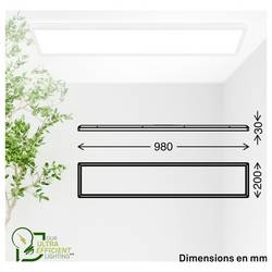 Briloner TAVA A 7551016 LED panel Energetická třída (EEK2021): A (A - G) 21 W bílá bílá