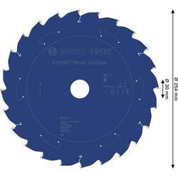 Bosch Accessories 2608902173 2608902173 pilový kotouč 254 x 30.0 x 1.6 mm Počet zubů (na palec): 24 1 ks