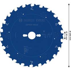 Bosch Accessories 2608902167 2608902167 pilový kotouč 250 x 30.0 x 2.2 mm Počet zubů (na palec): 22 1 ks