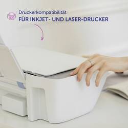 Avery-Zweckform POL20MA66-5DR štítek se jménem (š x v) 68 mm x 22 mm 5 ks