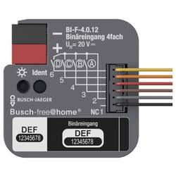Busch-Jaeger 2CDG510024R0021 1 ks