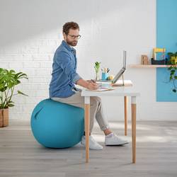Leitz Ergo Cosy 52790061 1 ks