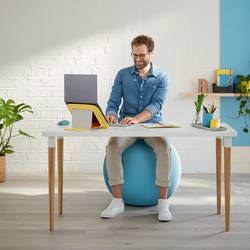 Leitz Ergo Cosy 52790061 1 ks