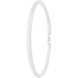 LEDVANCE LED trubice Energetická třída (EEK2021): E (A - G) LED zářivkový tvar T5 21.5 W teplá bílá (Ø x d) 16.50 mm x 300.00 mm stmívatelná 1 ks
