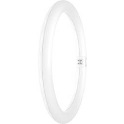 LEDVANCE LED trubice Energetická třída (EEK2021): E (A - G) G10q kulatý tvar 18.3 W neutrální bílá (Ø x d) 300.00 mm x 300.00 mm 1 ks