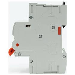 Shelly Shelly Pro 2CB C16