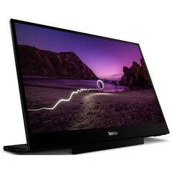 Lenovo ThinkVision M16 LCD monitor 40.6 cm (16 palec)16:10, 8 ms