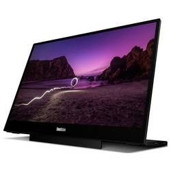 Lenovo ThinkVision M16 LCD monitor 40.6 cm (16 palec)16:10, 8 ms