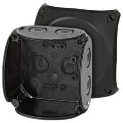 Hensel 62000042 rozbočovací krabice (d x š x v) 62 x 93 x 93 mm černá IP66, IP67, IP69 1 ks