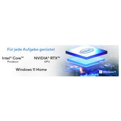 Asus stolní PC V501 SFF C5-210H 8 512 2.5 cm (1 palec) 210H 4.8 GHz 8 GB RAM 512 GB SSD Intel Intel grafika 90PF05Y3-M008A0