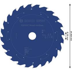 Bosch Accessories 2608902175 2608902175 pilový kotouč 254 x 30.0 x 1.6 mm Počet zubů (na palec): 24 1 ks